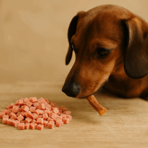 eendfiletblokjes hondensnack