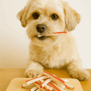 kip met vis sandwich hondensnack