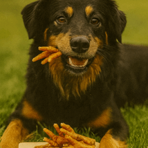 kippenpoot hondensnack