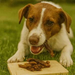 kippenvleugels hondensnack