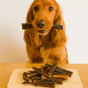 runderpensstaafjes hondensnack