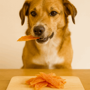 kipfilet hondensnack