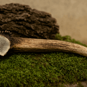 hertengewei hard giant hondensnack