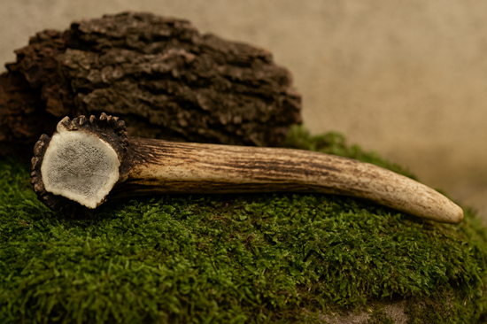 hertengewei hard giant hondensnack