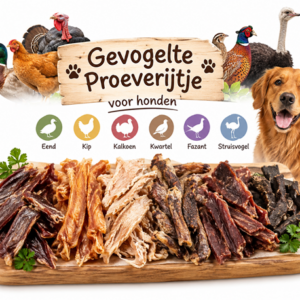 Gevogelte proeverijtje voor honden met snacks van eend kip kalkoen kwartel fazant en struisvogel